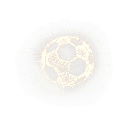 Firework